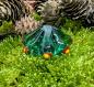 Preview: whorl forrest glass